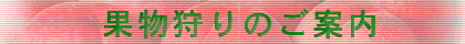 �܂邰�񂾂��
