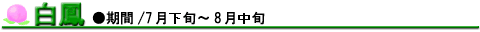 ���P