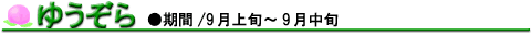 �䂤����