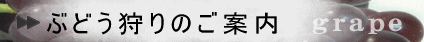 �Ԃǂ����