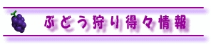 �Ԃǂ���蓾�X���