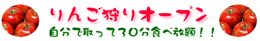 りんご狩りオープン
自分で取って30分食べ放題!!