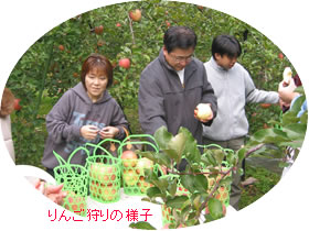 りんご狩りの様子