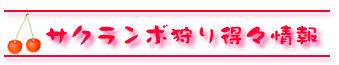 �T�N�����{��蓾�X���