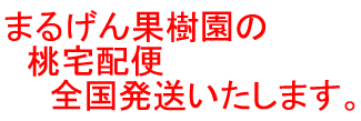 まるげん果樹園の
りんご宅配便
全国発送いたします。